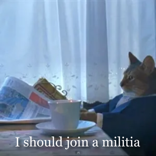 Cat reading the paper meme with the caption “I should join a militia”